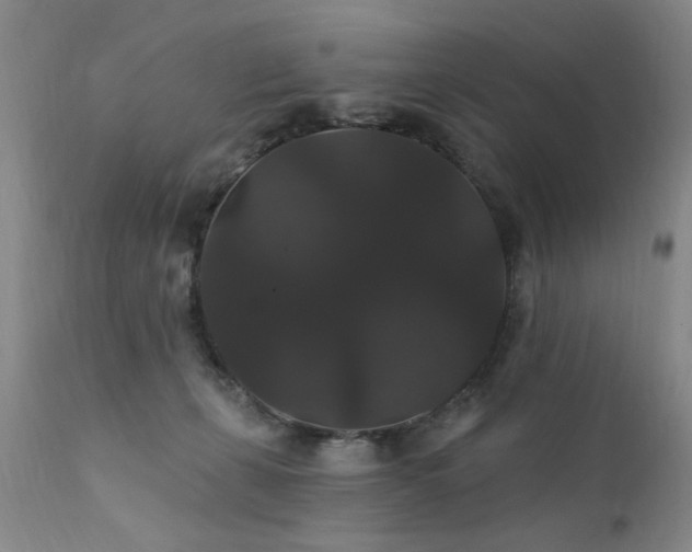 X0000111910271200907271229
