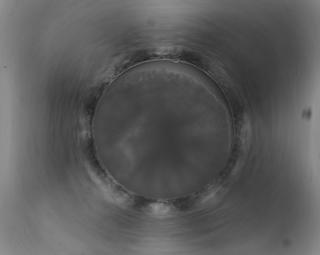 X0000111910272200907271229