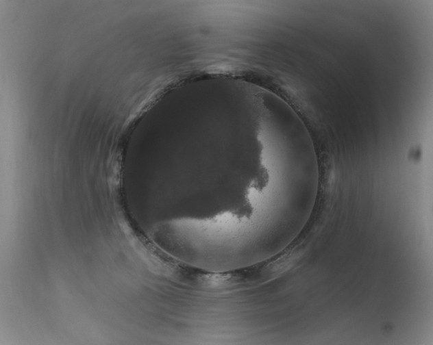 X0000111910273200907271229