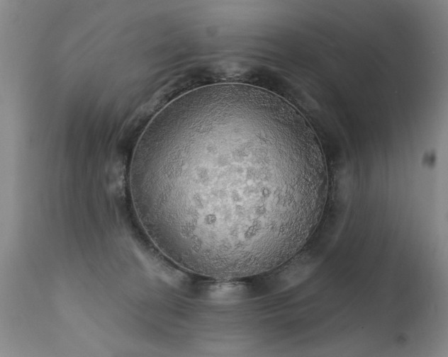 X0000111910274200907271229