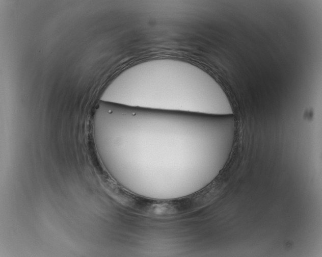 X0000111910275200907271229