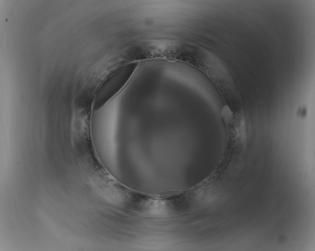 X0000111910276200907271229