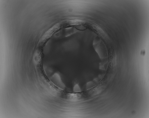 X0000111910277200907271229