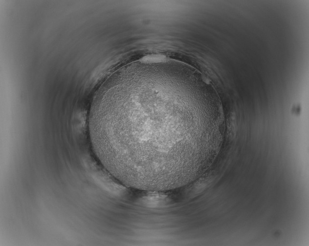 X0000111910278200907271229