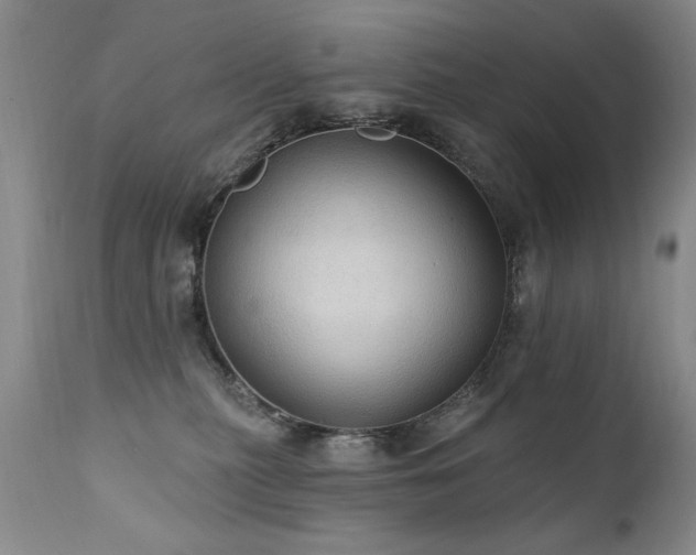 X0000111910279200907271229
