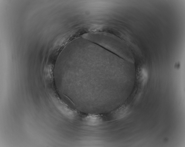 X0000111910280200907271229
