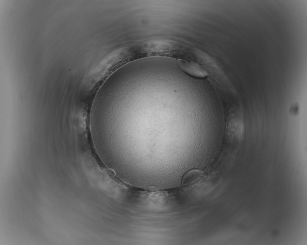 X0000111910282200907271229