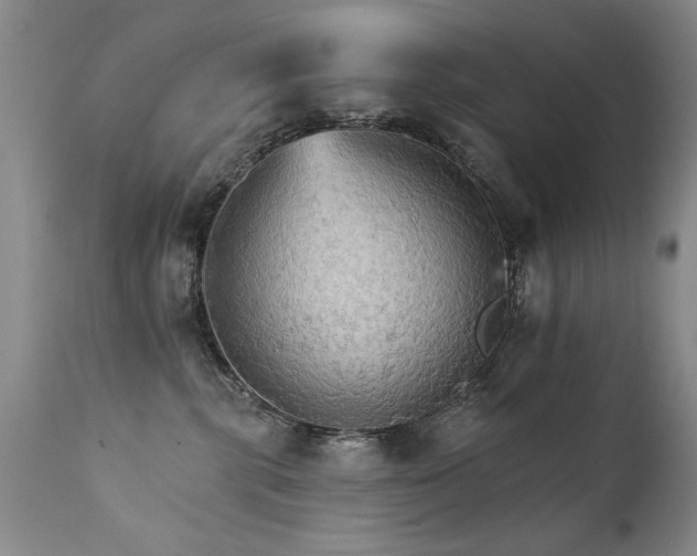 X0000111910283200907271229