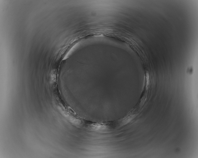 X0000111910284200907271229