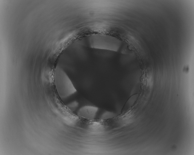 X0000111910285200907271229
