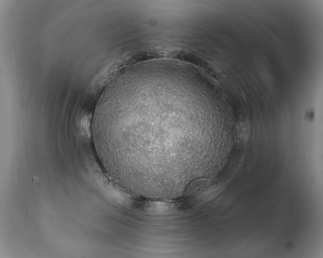 X0000111910286200907271229