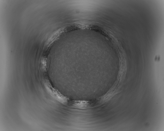 X0000111910288200907271229