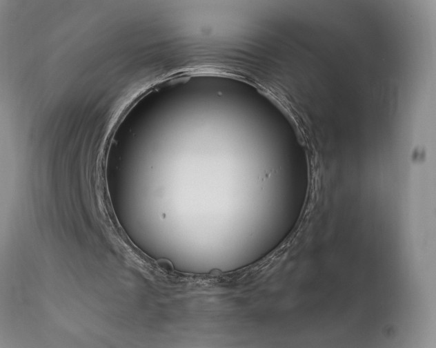 X0000111910289200907271228