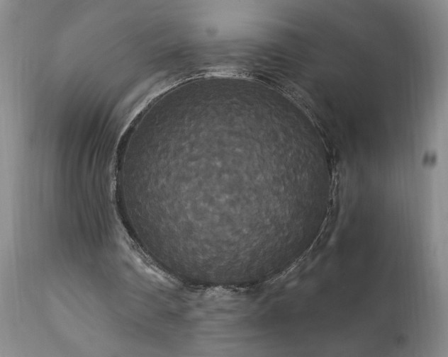 X0000111910290200907271228