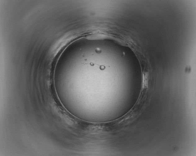 X0000111910291200907271228