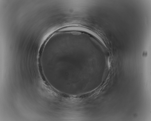 X0000111910292200907271228