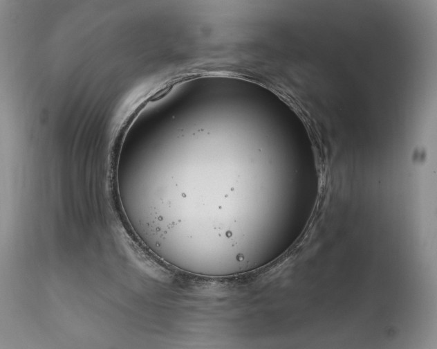 X0000111910293200907271228