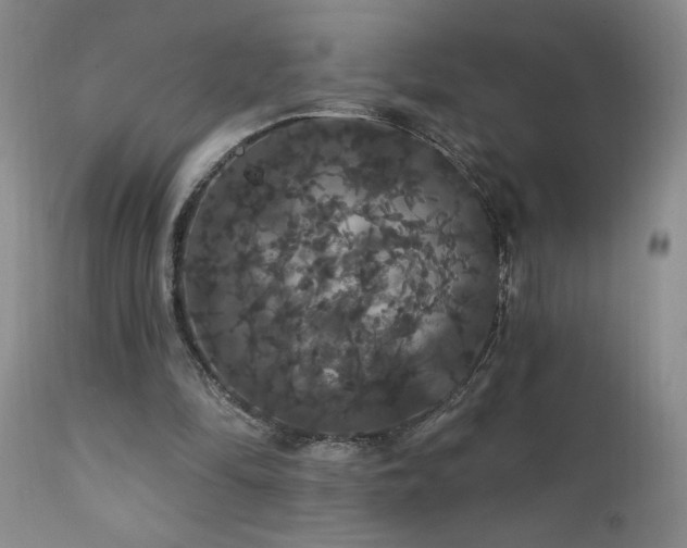 X0000111910294200907271228