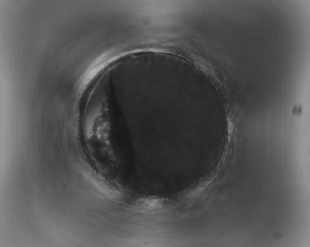 X0000111910295200907271228