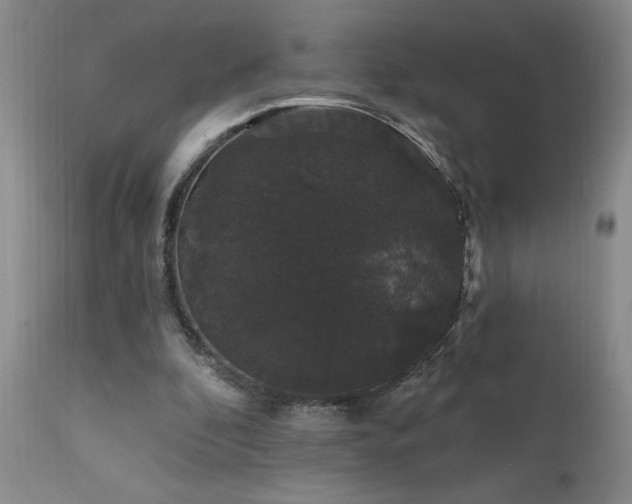 X0000111910296200907271228