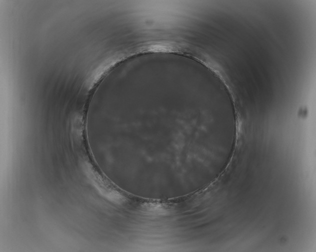 X0000111910297200907271228