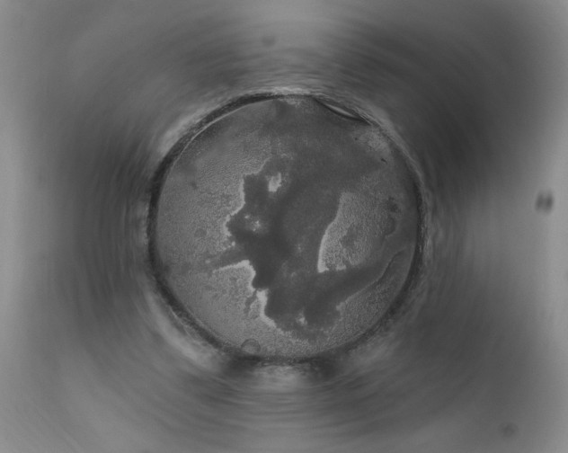 X0000111910299200907271228
