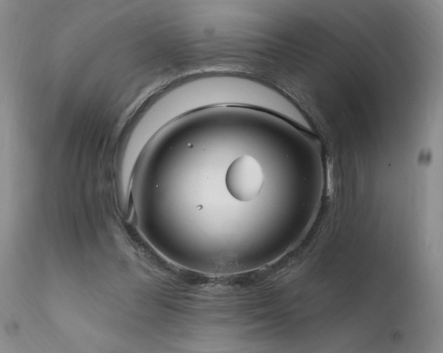 X0000111910300200907271228
