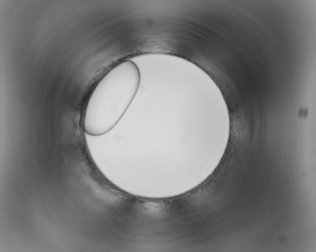 X0000111910302200907271228