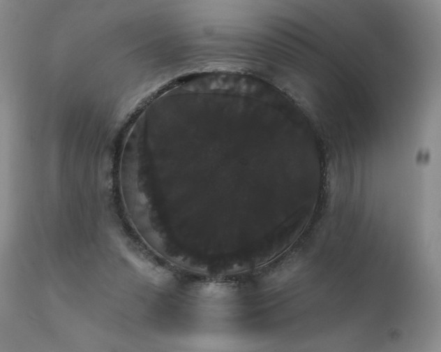 X0000111910303200907271228
