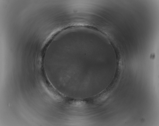 X0000111910304200907271228