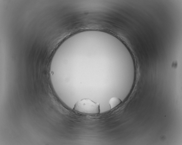 X0000111910305200907271228