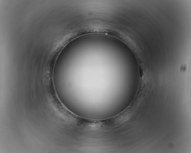 X0000111910306200907271228