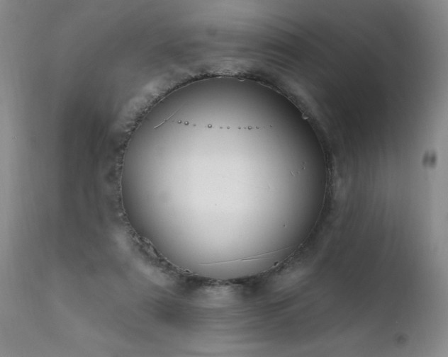 X0000111910307200907271228