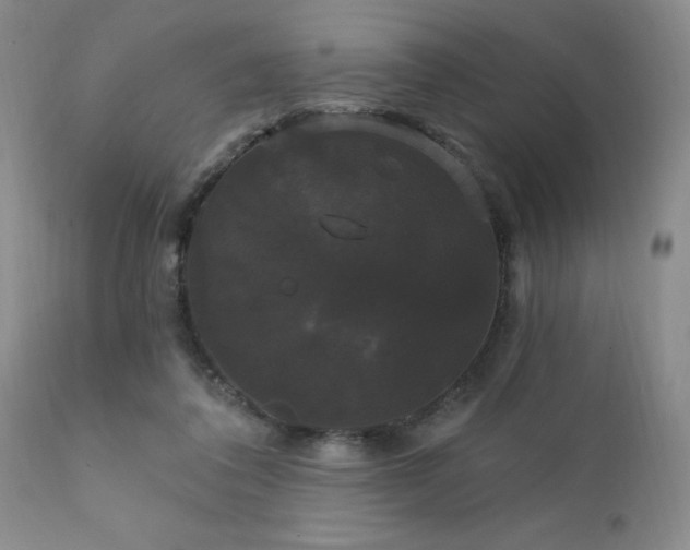 X0000111910308200907271228