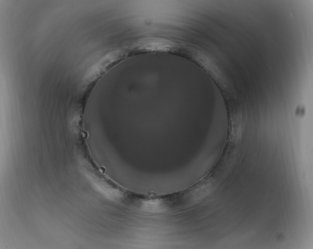 X0000111910309200907271228