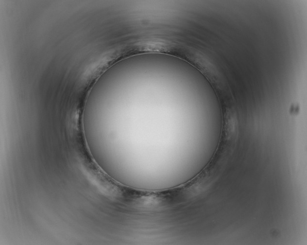 X0000111910310200907271228