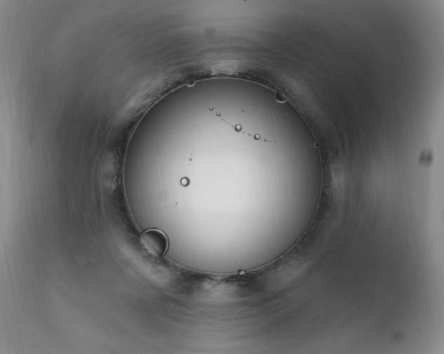 X0000111910311200907271228