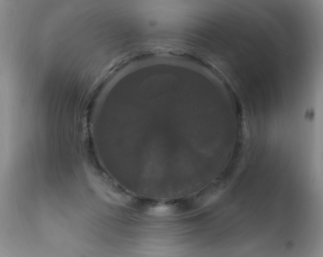 X0000111910312200907271228