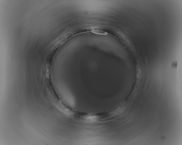 X0000111910313200907271228