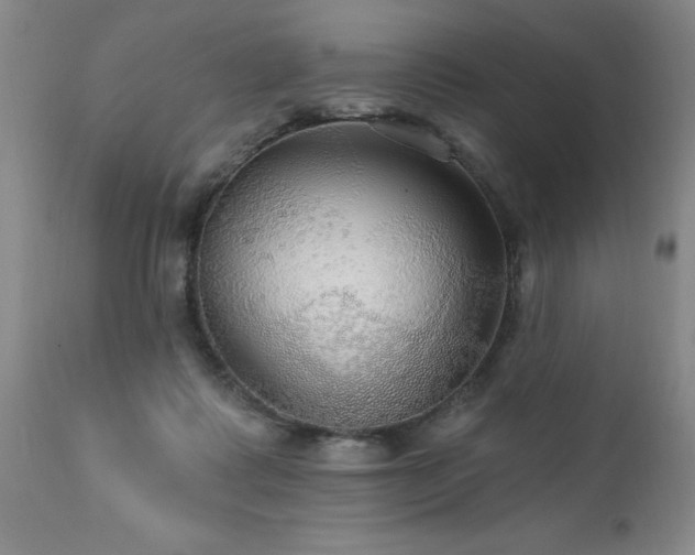 X0000111910315200907271228