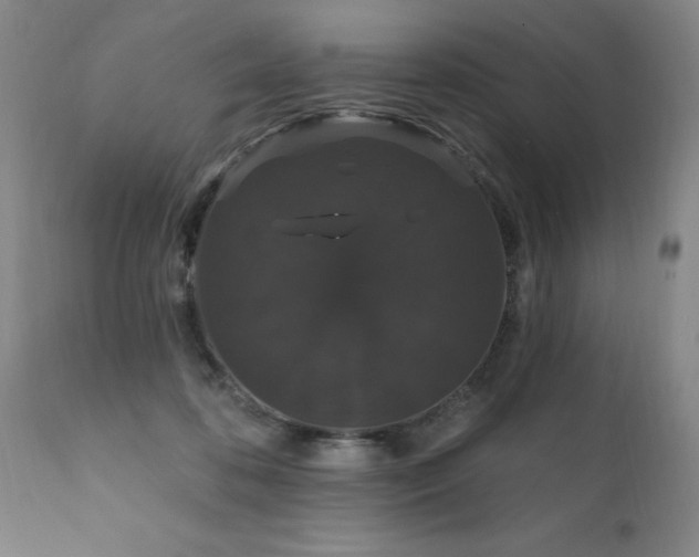 X0000111910316200907271228