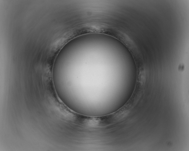 X0000111910318200907271228