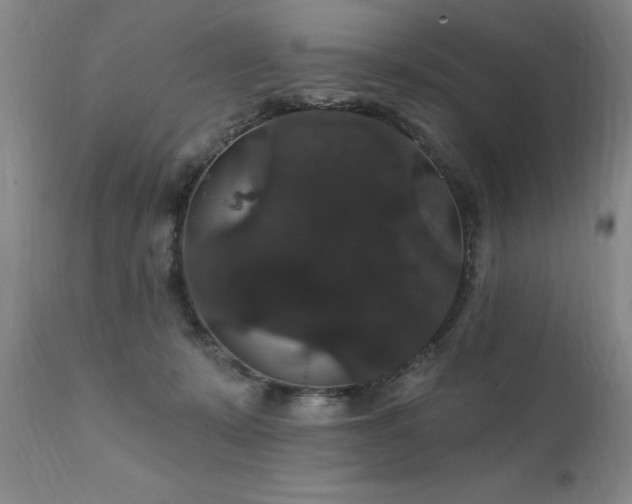 X0000111910319200907271228