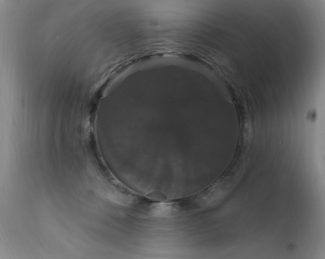 X0000111910320200907271228
