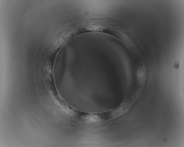X0000111910322200907271228