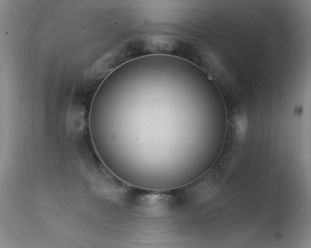X0000111910323200907271228
