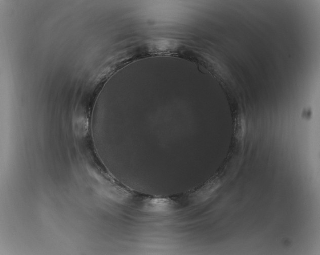 X0000111910324200907271228