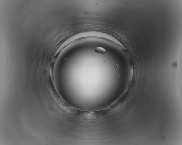 X0000111910325200907271228