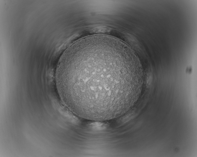 X0000111910326200907271228