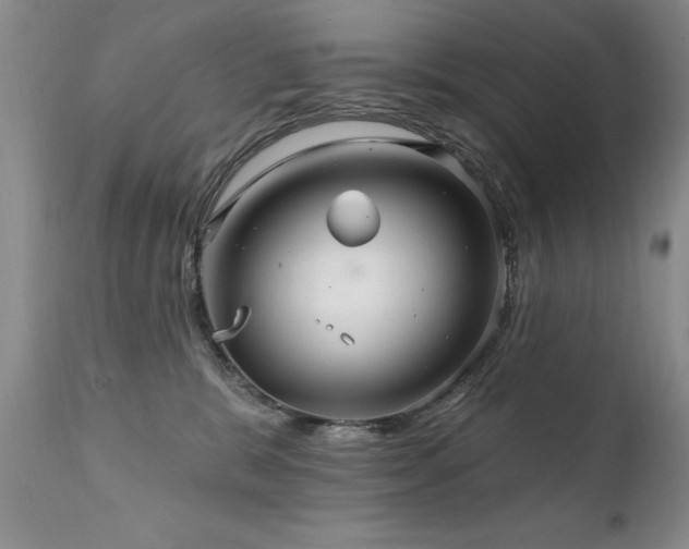 X0000111910327200907271228